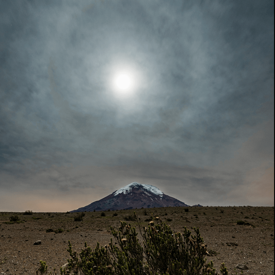 Caminante de Montes - captura-de-pantalla-2021-07-18-a-la-s-17-50-47.png