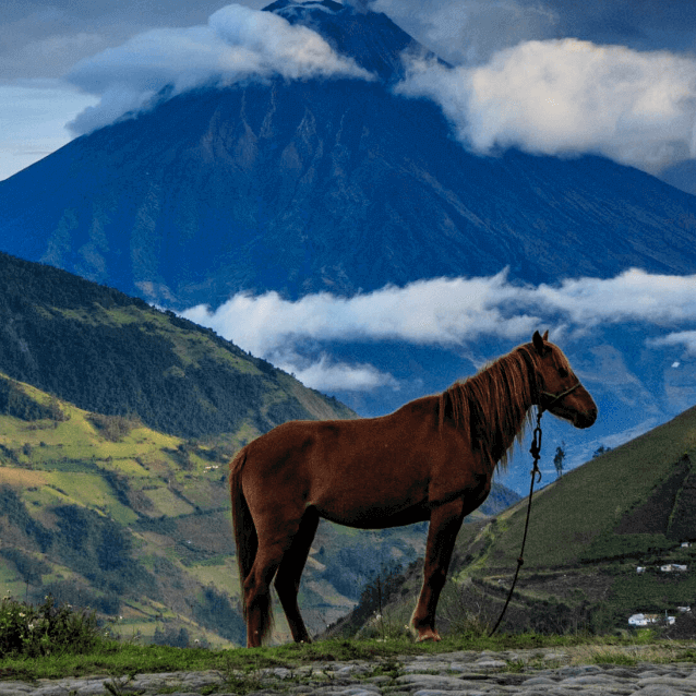 Caminante de Montes - captura-de-pantalla-2021-07-18-a-la-s-17-54-05.png