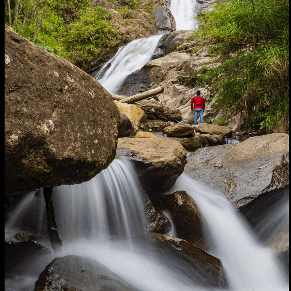 Caminante de Montes - captura-de-pantalla-2021-07-18-a-la-s-17-57-53.png