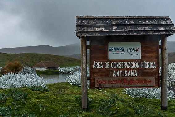 Caminante de Montes - antisana-baja-59.jpg