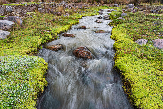 Caminante de Montes - antisana-baja-55.jpg