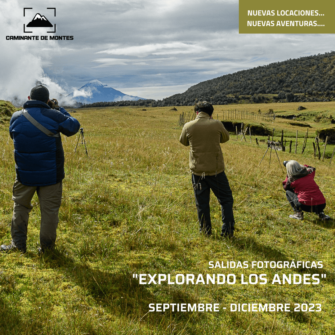 Caminante de Montes - 1.png