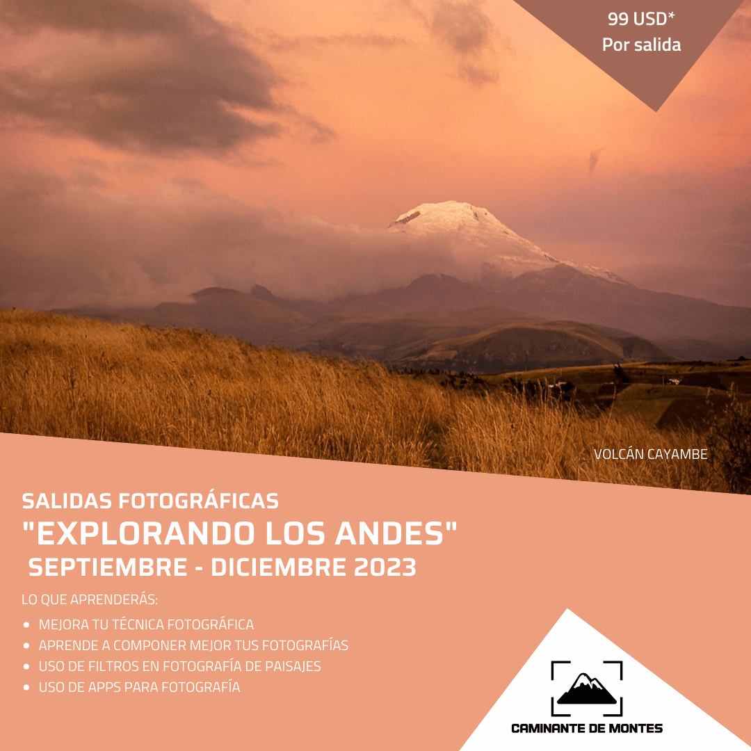 Caminante de Montes - 4.png