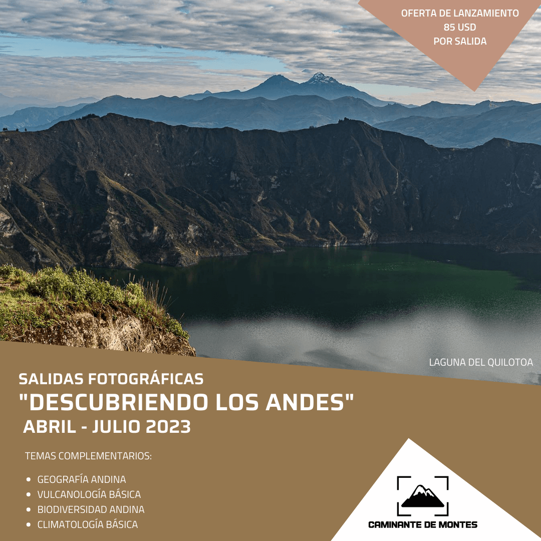 Caminante de Montes - 5.png
