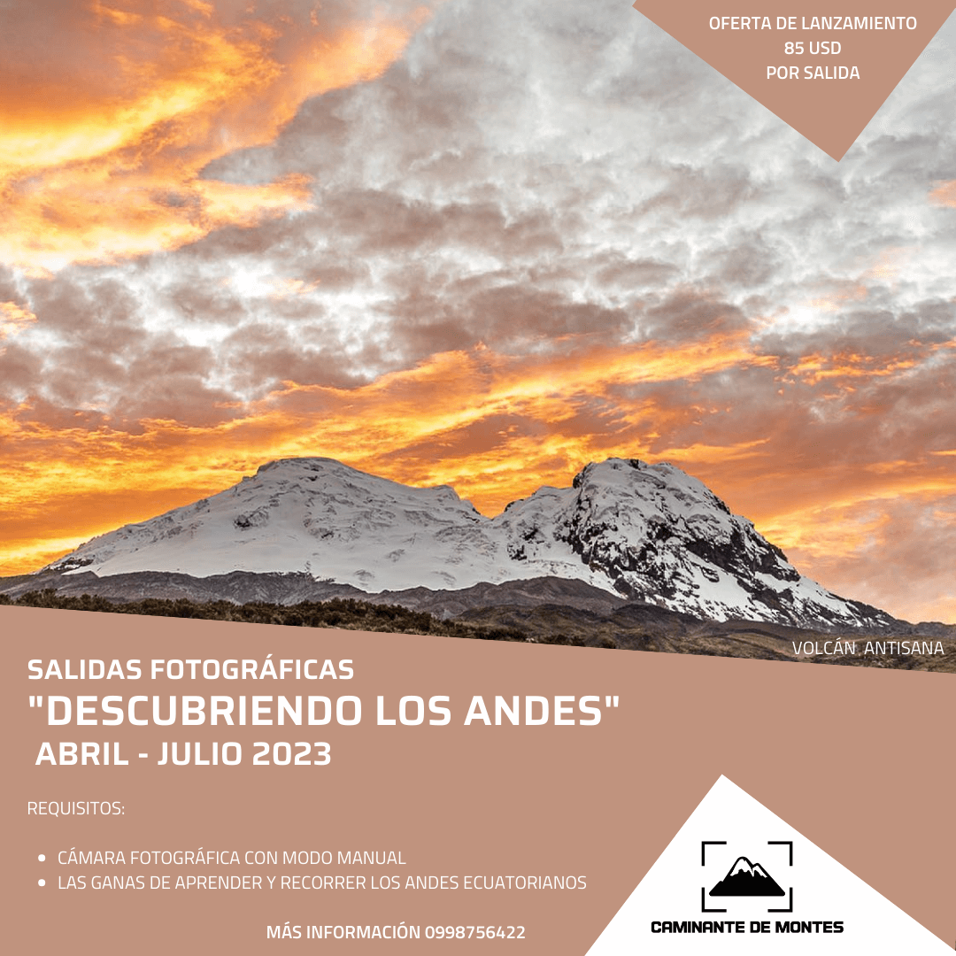 Caminante de Montes - 6.png