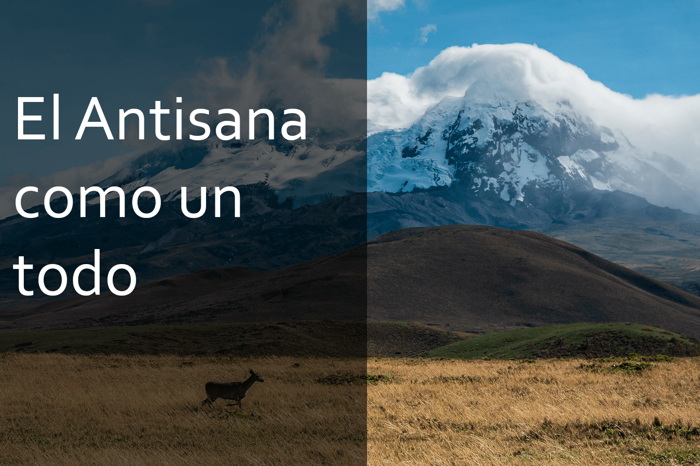 Caminante de Montes - blog-el-antisana-como-un-todo-mini.png