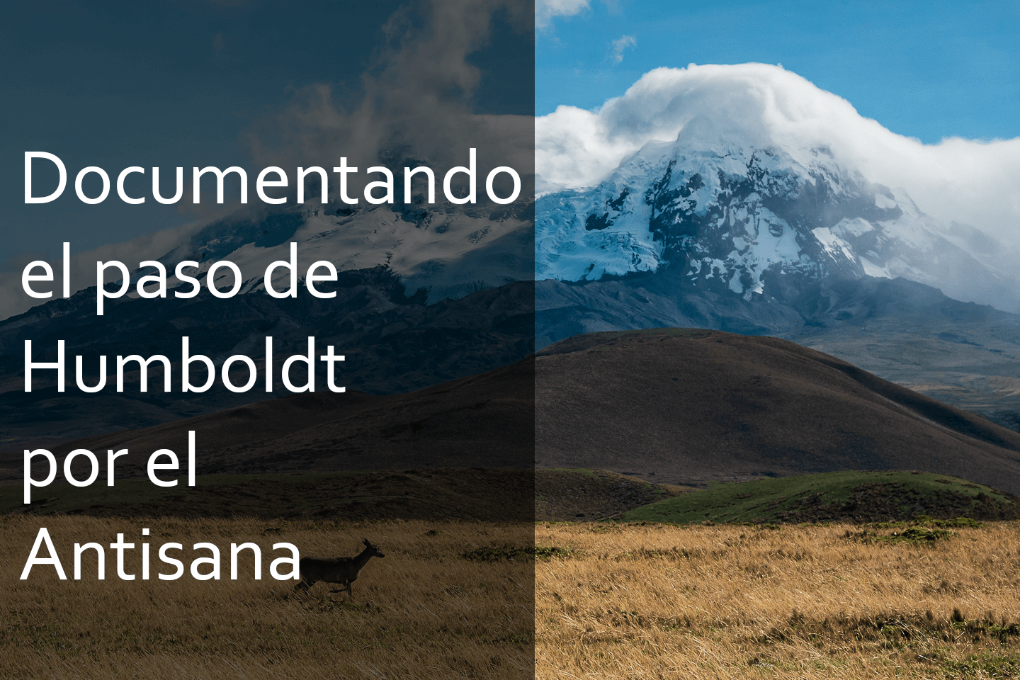 Caminante de Montes - documentando-humboldt-en-el-antisana.png