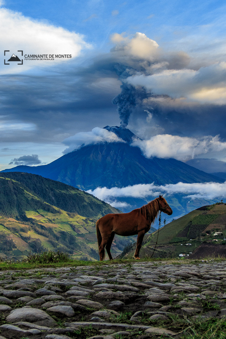 Caminante de Montes - Caballo%20y%20Tungurahua.jpg